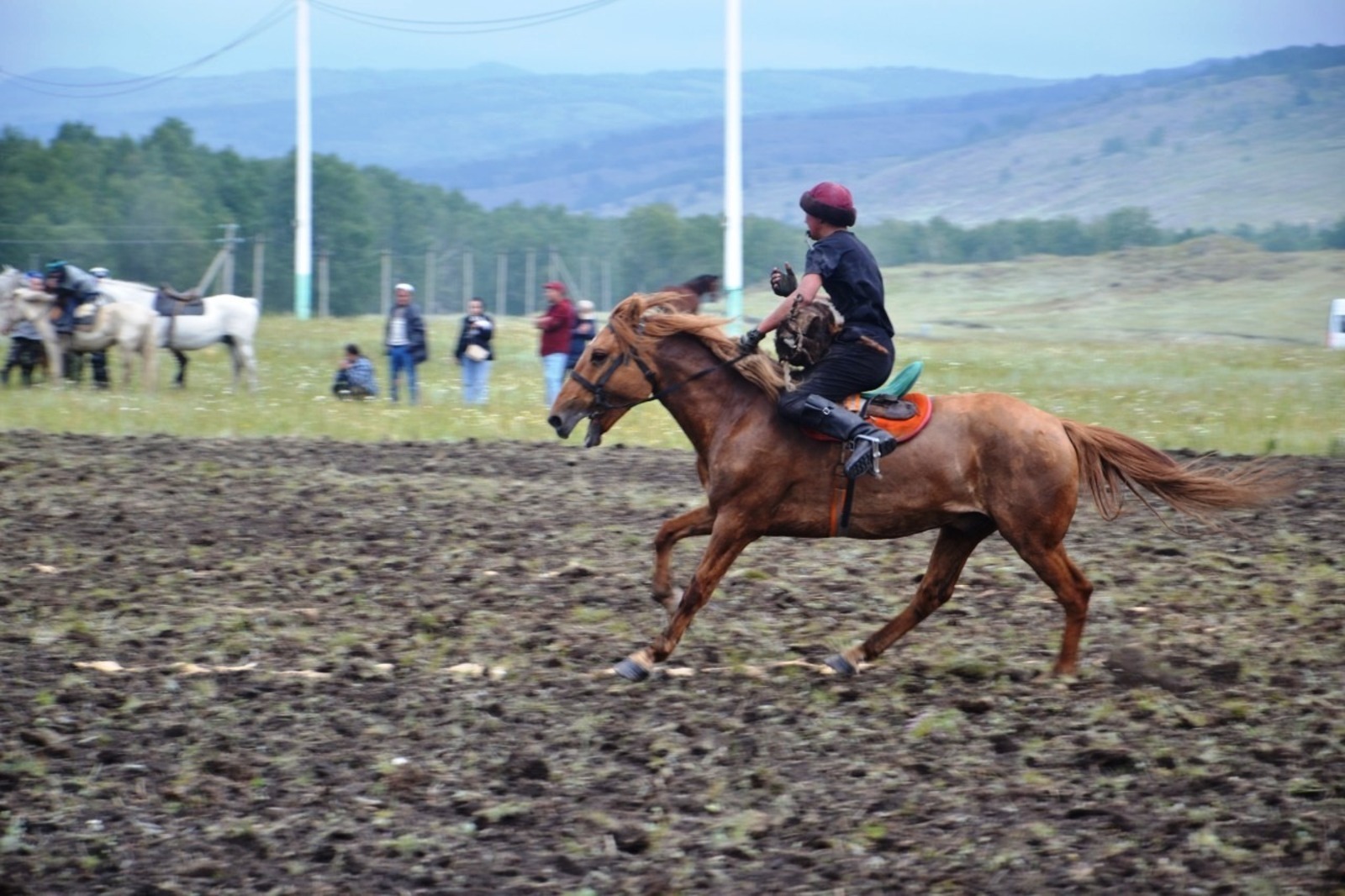 Гульшат Шаймарданова из Гафурийского района: лошадь  для башкирского народа является священным