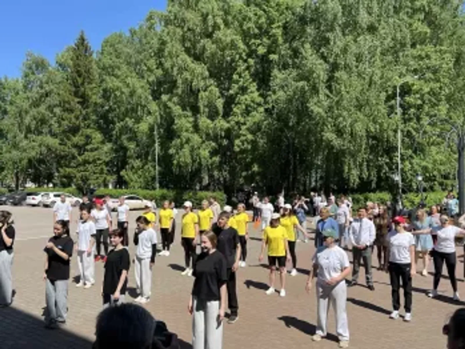 В Бирске прошла масштабная профилактическая акция «Кардиодесант»