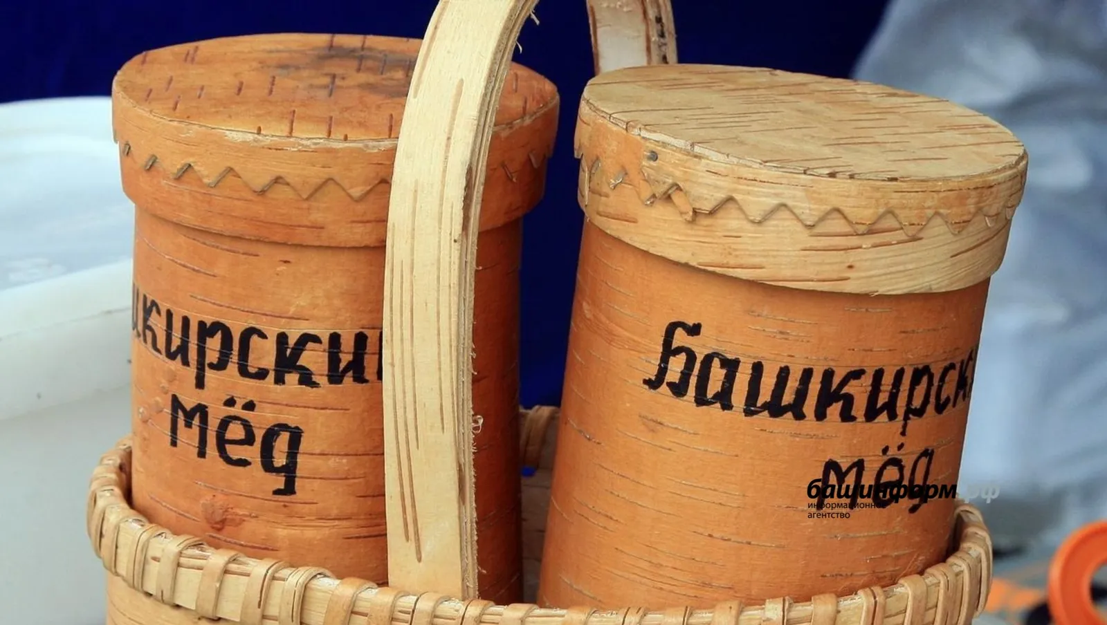 Медовая стратегия Башкирии: как регион поддерживает пчеловодов