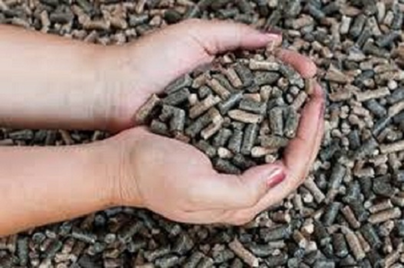 Башкортостан экспортировал в Туркменистан пробную партию подсолнечного шрота