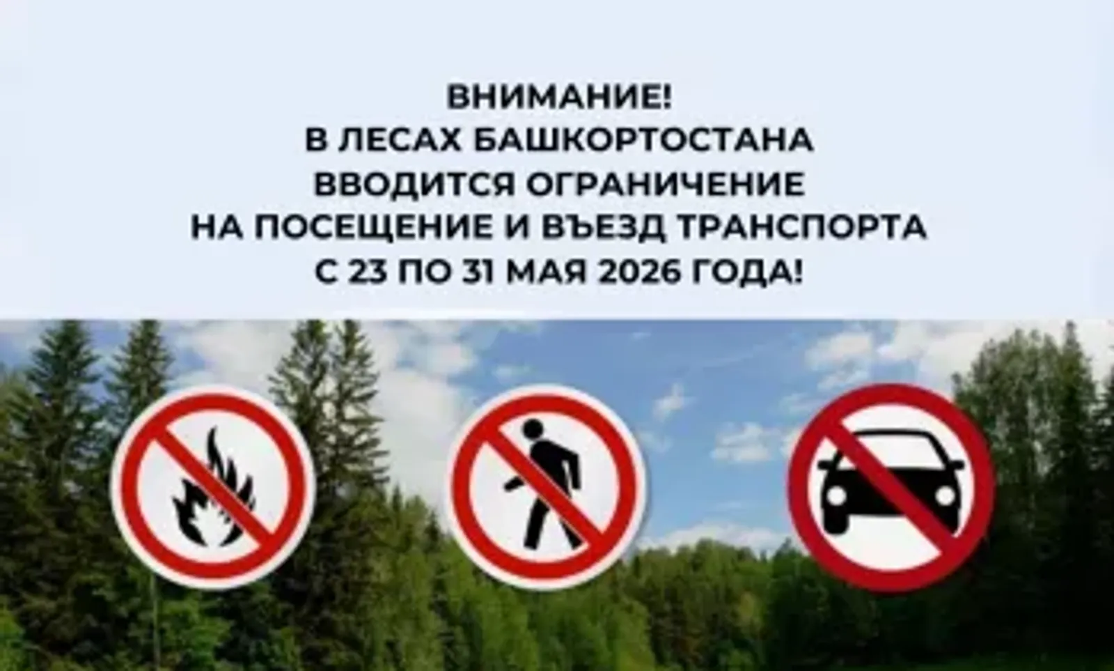 В лесах Башкортостана вводится ограничение на посещение и въезд транспорта