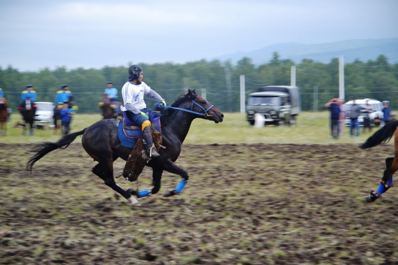 https://bv02.info/ В Баймакском районе начался фестиваль башкирской лошади