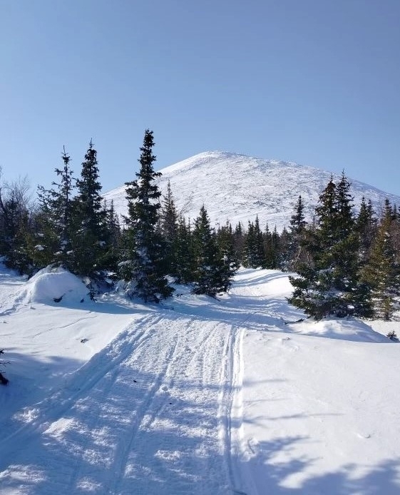 В 2026 году заповедники Башкортостана посетили 11 тысяч туристов