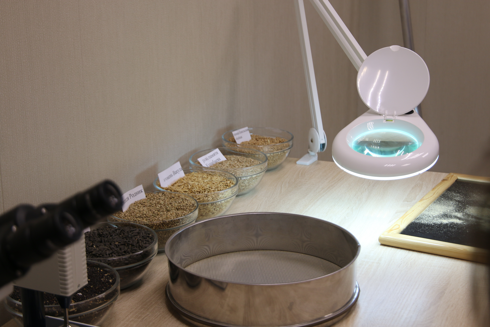 Доля семян отечественной селекции в Башкортостане превышает 80%