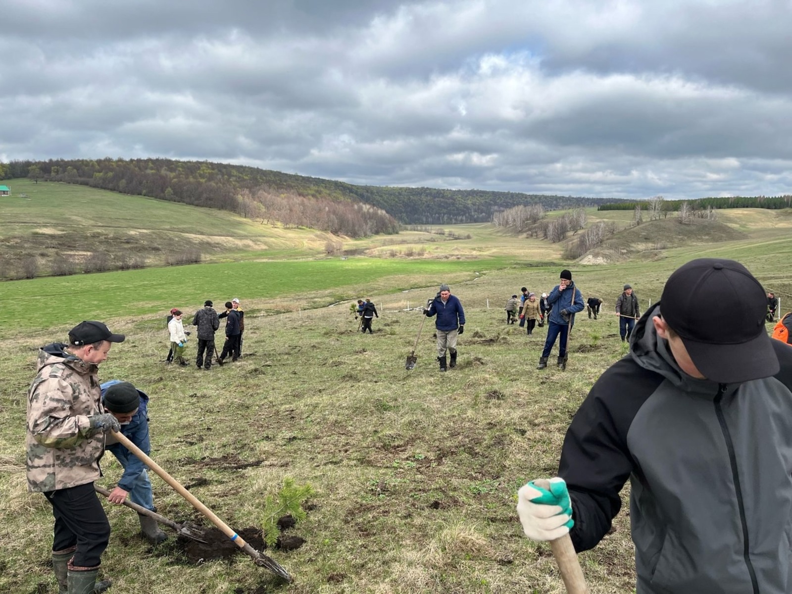 Камеевское сельское поселение озеленяет малую родину