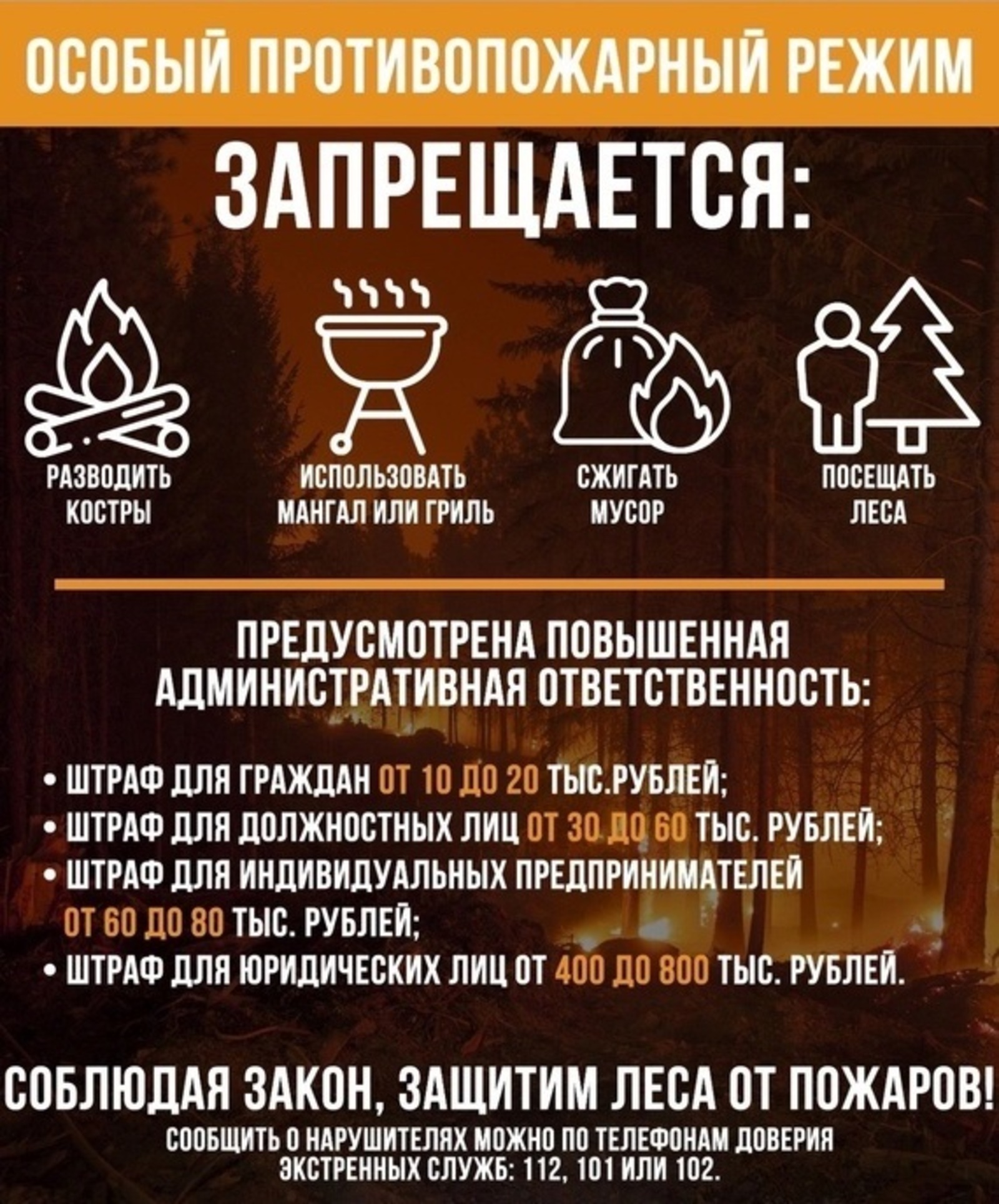С 27 апреля 2024 года до особого распоряжения на территории Республики Башкортостан вводится особый противопожарный режим.