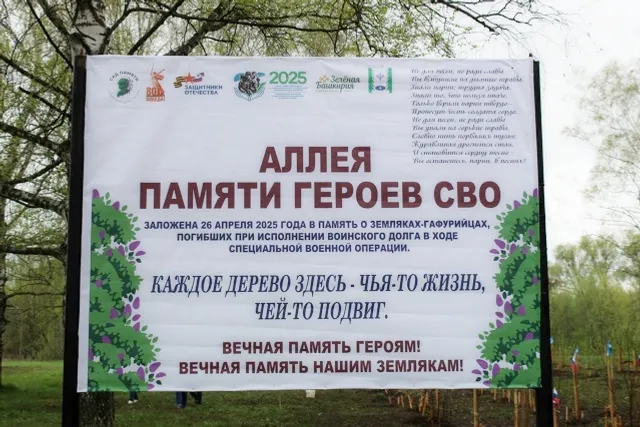 Год поддержки участников специальной военной операции и членов их семей в РБ