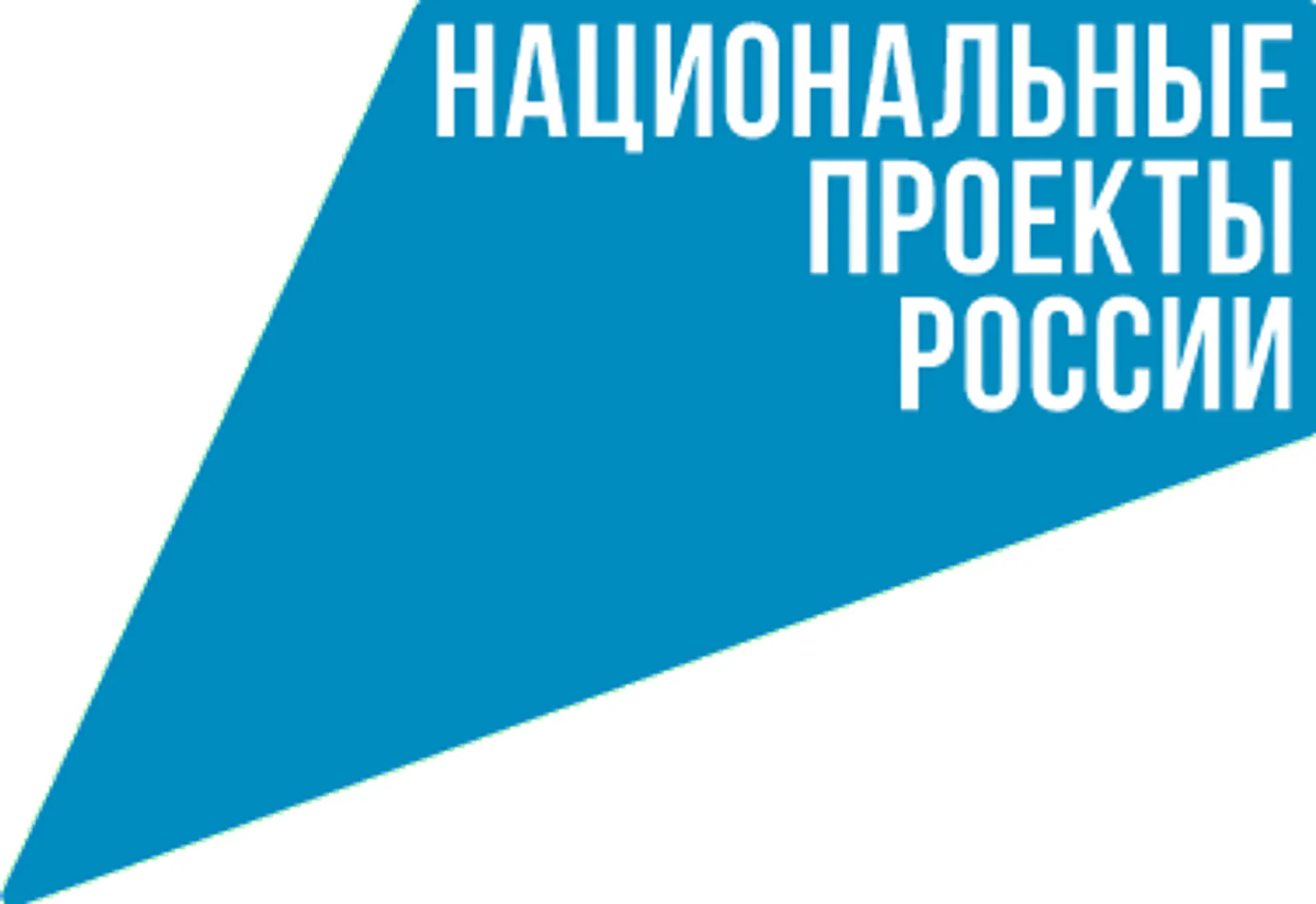 В Башкирии высадят около 2 миллионов деревьев в ходе акции «Сад памяти»