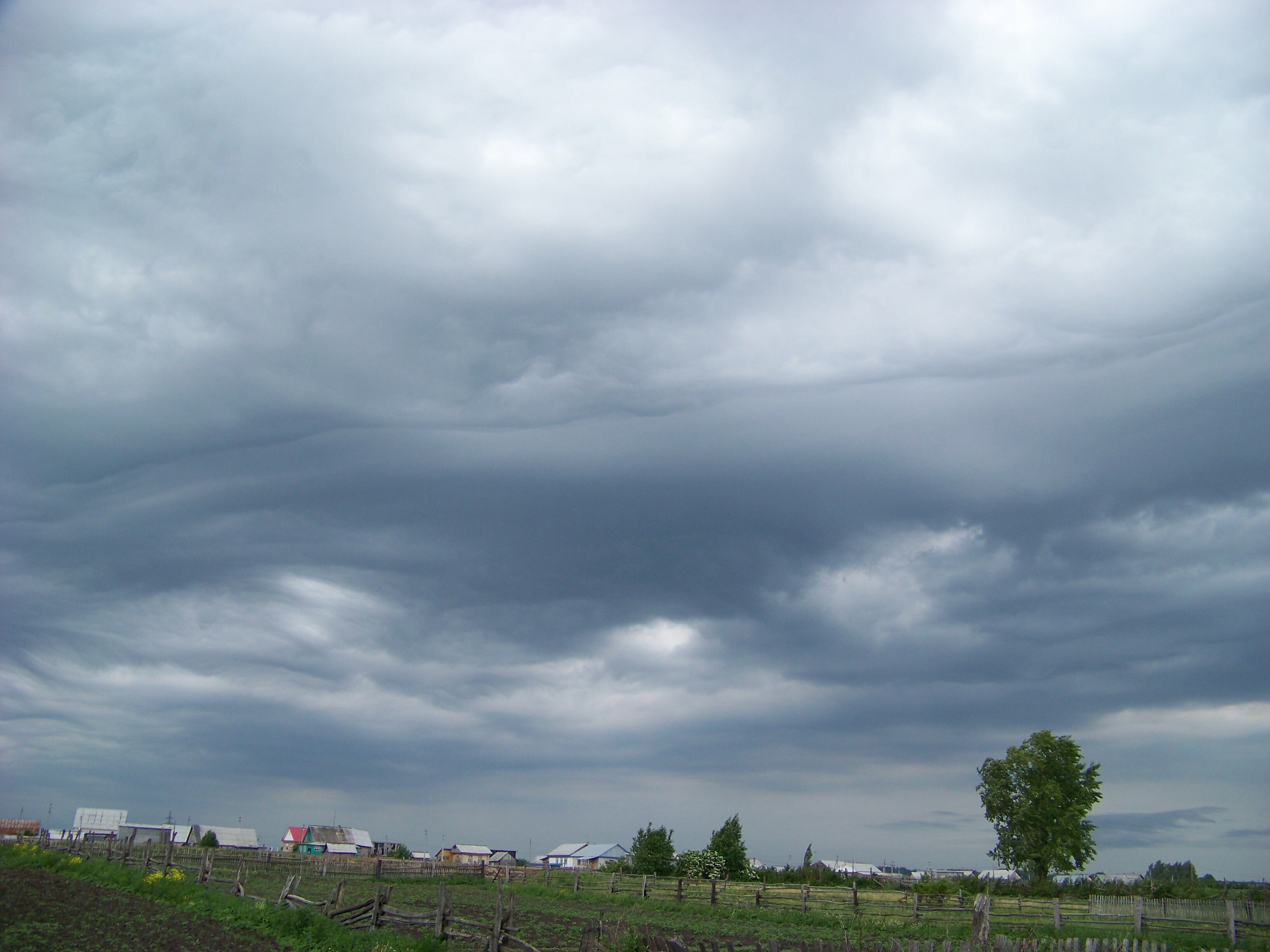 Марийский календарь на каждый день. 3 июля - Перепелиный день (Пулдырчо кече)